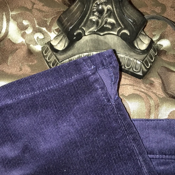 Blue Corduroy Slim Fit Ankle Pants Size Large - Picture 3 of 4